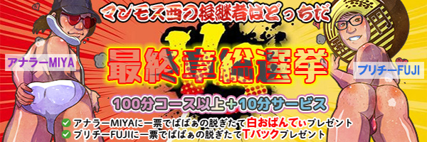 最終章総選挙